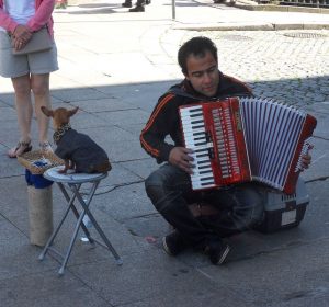 Straßenmusiker in Porto